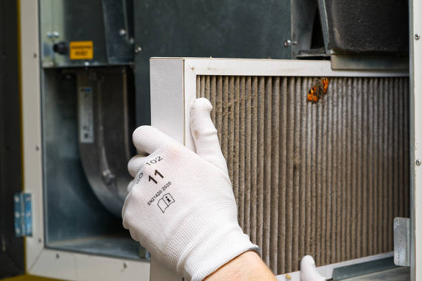 Best Affordable HVAC Duct Cleaning  in Lanark, IL
