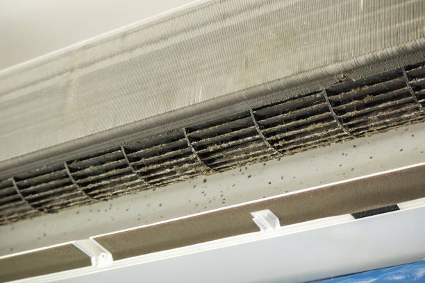 Professional Airduct Cleaning in Lanark, IL